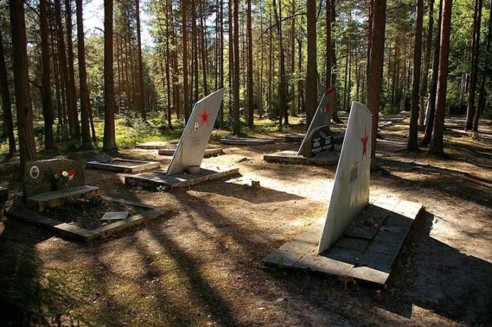 Правительство Эстонии одобрило снос сотен советских памятников